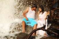 Yuvakudu Movie Photos